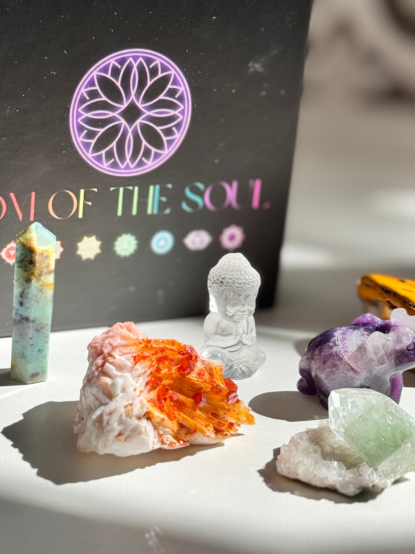 Packaged in a luxe magnetic keepsake box, this set includes:
Vanadinite (Root Chakra): A bold burst of grounding and creative drive
Orange Selenite Heart (Sacral Chakra): Gentle flow, sensuality, and emotional nourishment
Mookaite Jasper Tumble (Solar Plexus Chakra): Vitality, self-trust, and personal strength
Green Apophyllite (Heart Chakra): Heart-softening clarity and love-energy activation
Chrysoprase Tower (Throat Chakra): Truthful expression and inner renewal
Lepidolite Elephant (Third Eye Chakra)