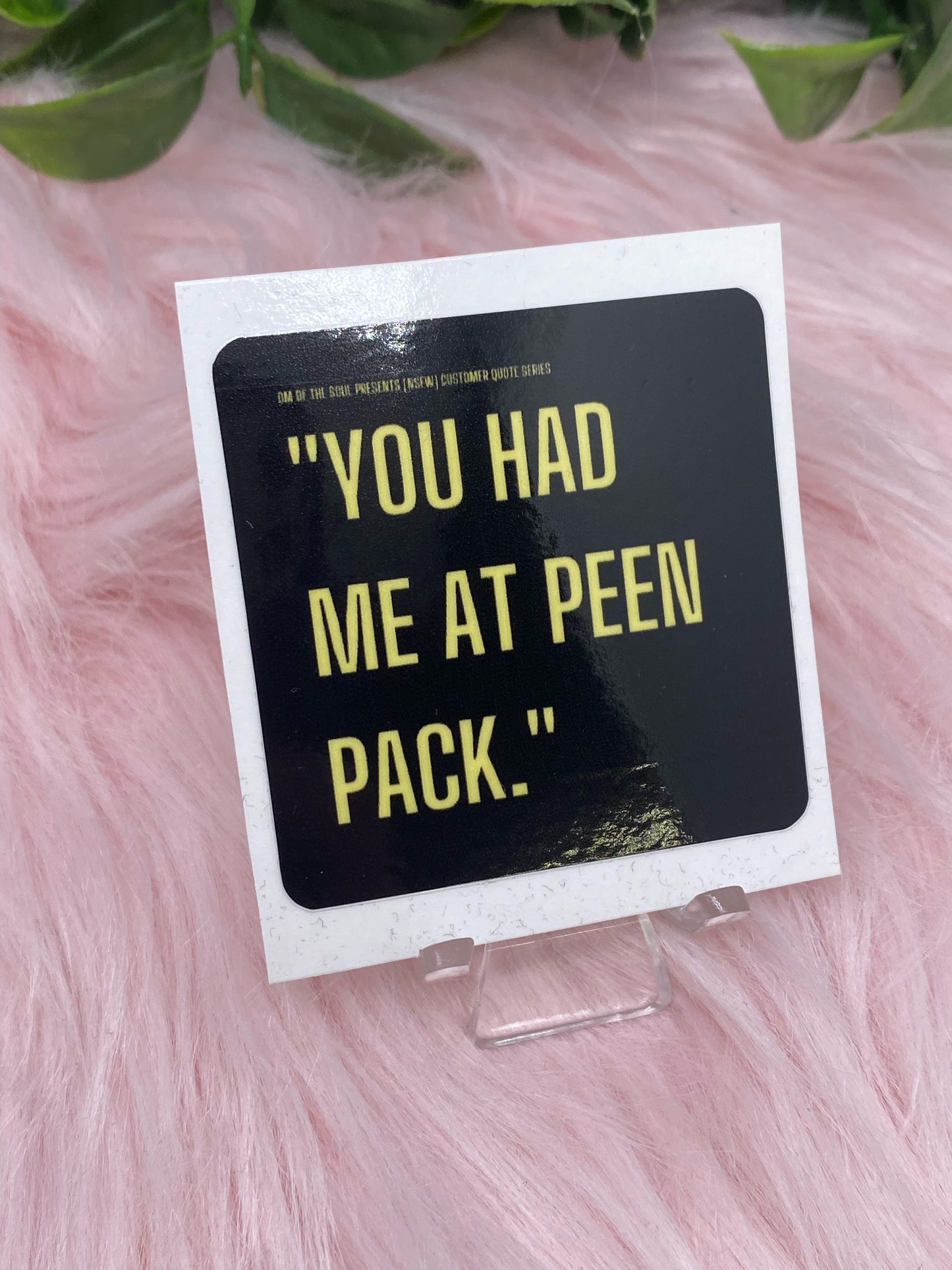 R-rated customer quote stickers - OM of the Soul