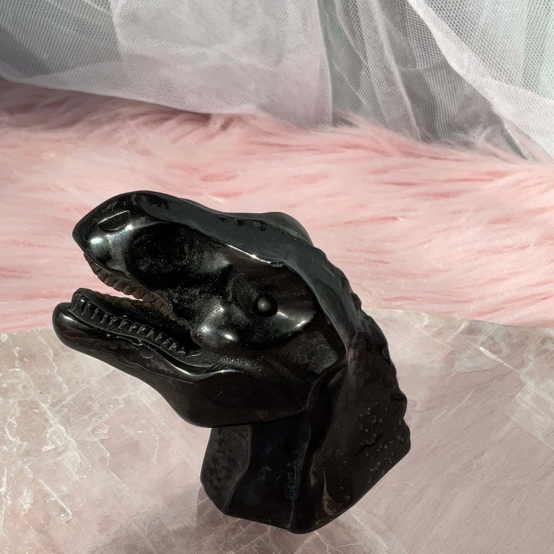 BLACK OBSIDIAN T-REX head - OM of the Soul